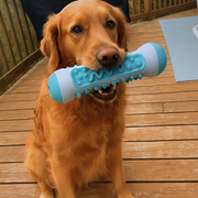 Dental & calming bone - DentalBuddy™